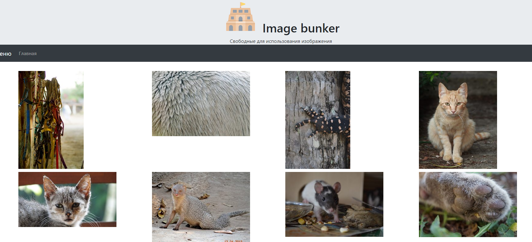 imagebunker.net